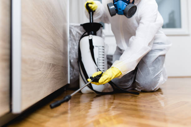 Best Pest Control Near Me  in Warwick, RI
