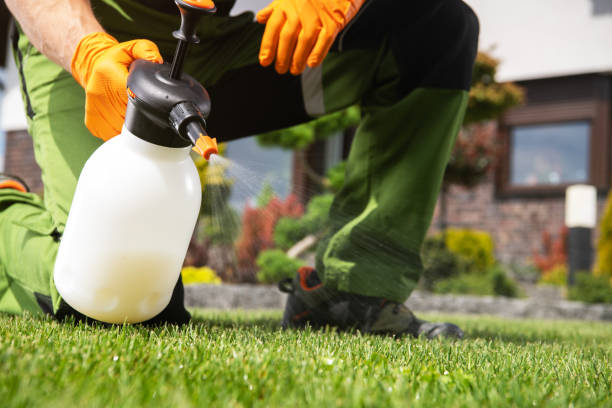 Best Flea Control Services  in Warwick, RI