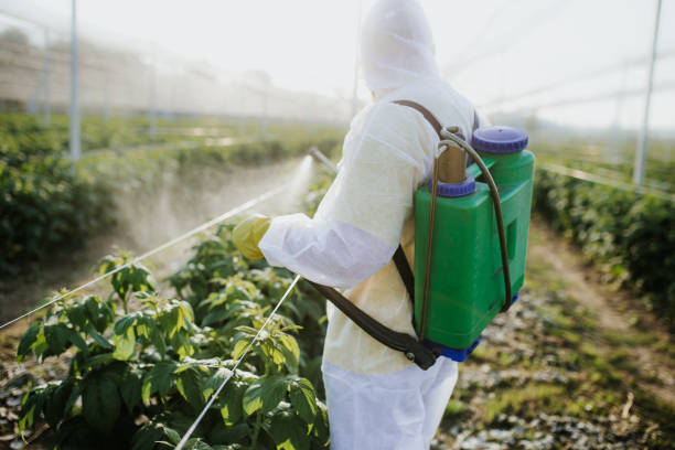 Best Commercial Pest Control Services  in Warwick, RI